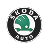 Покраска авто за 2 дня - Шкода (Skoda)